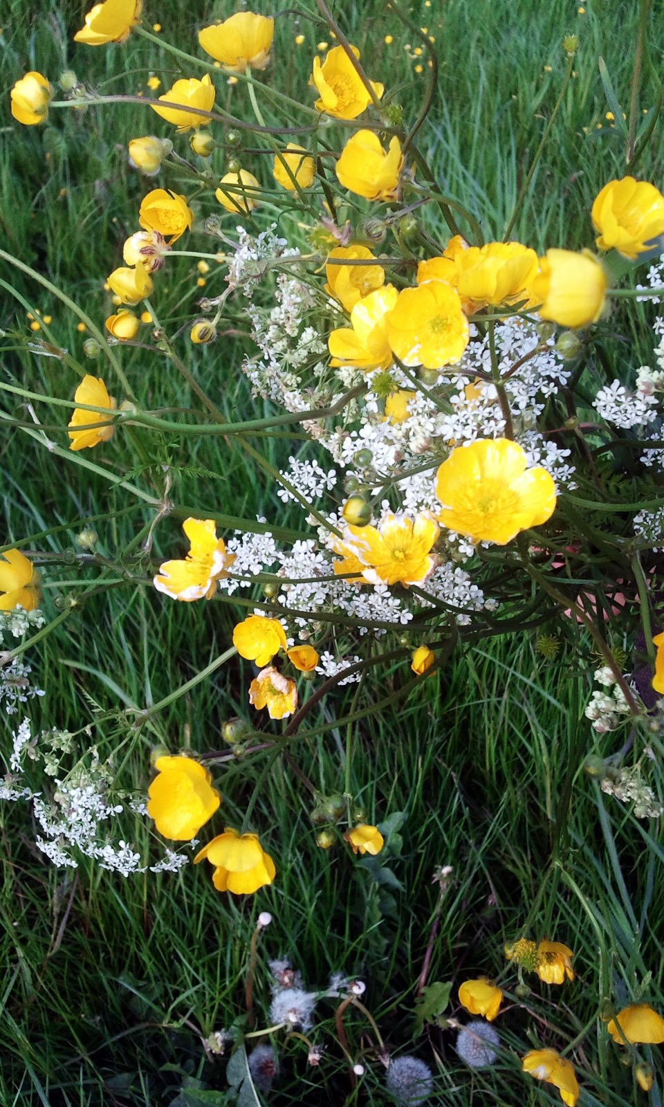 It takes some Magic to change Shit in to Flowers.